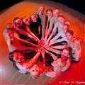 IMG_3322.JPG